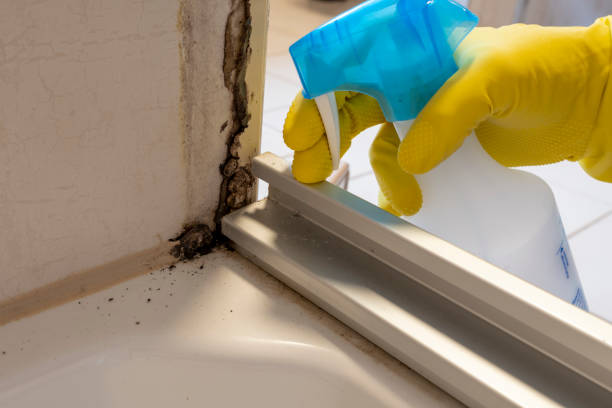 Best Bathroom Mold Remediation in Upper Exeter, PA
