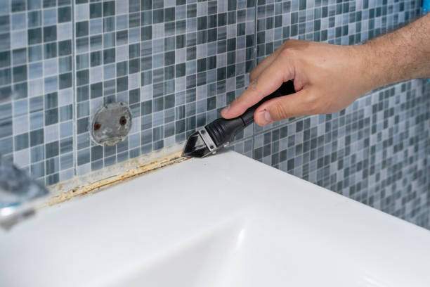 Best Black Mold Remediation in Upper Exeter, PA